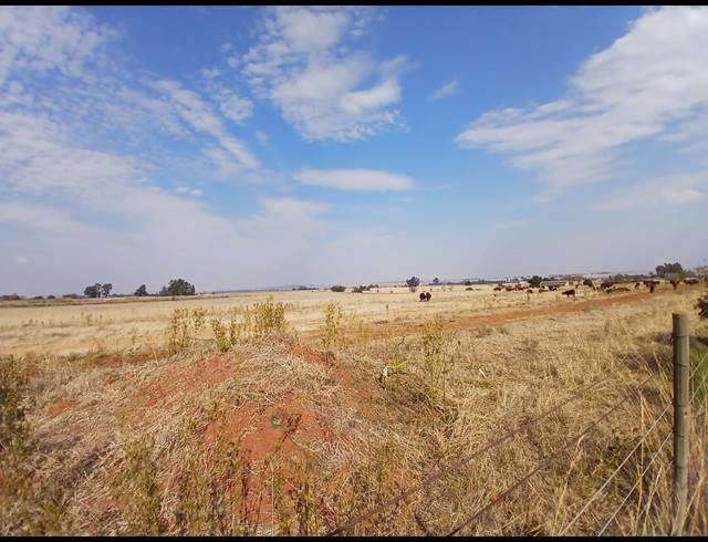 85,653M² SMALLHOLDING FOR SALE IN MOOILANDE